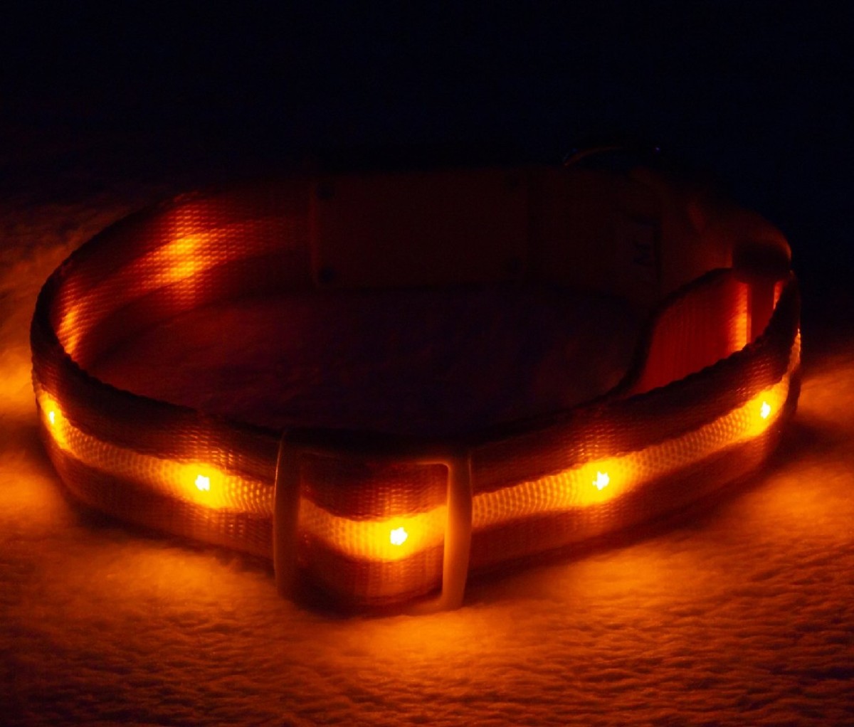 Blazin Safety LED Dog Collar